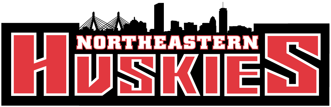Northeastern Huskies 2001-Pres Wordmark Logo v2 DIY iron on transfer (heat transfer)